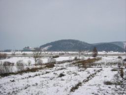 Resize of IMG_2288.jpg